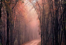 科技圈爆出大瓜！苹果反向偷师OPPO？