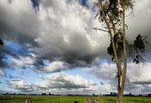 敲黑板！网红、大V请认真了解学习“网络名人账号行为负面清单”