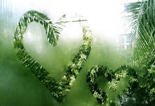 千万粉丝的网红塌房，火了之后上线付费视频，已经取关6万人