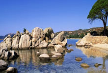 欣旺达：回应负面消息影响，称经营良好市场份额平稳