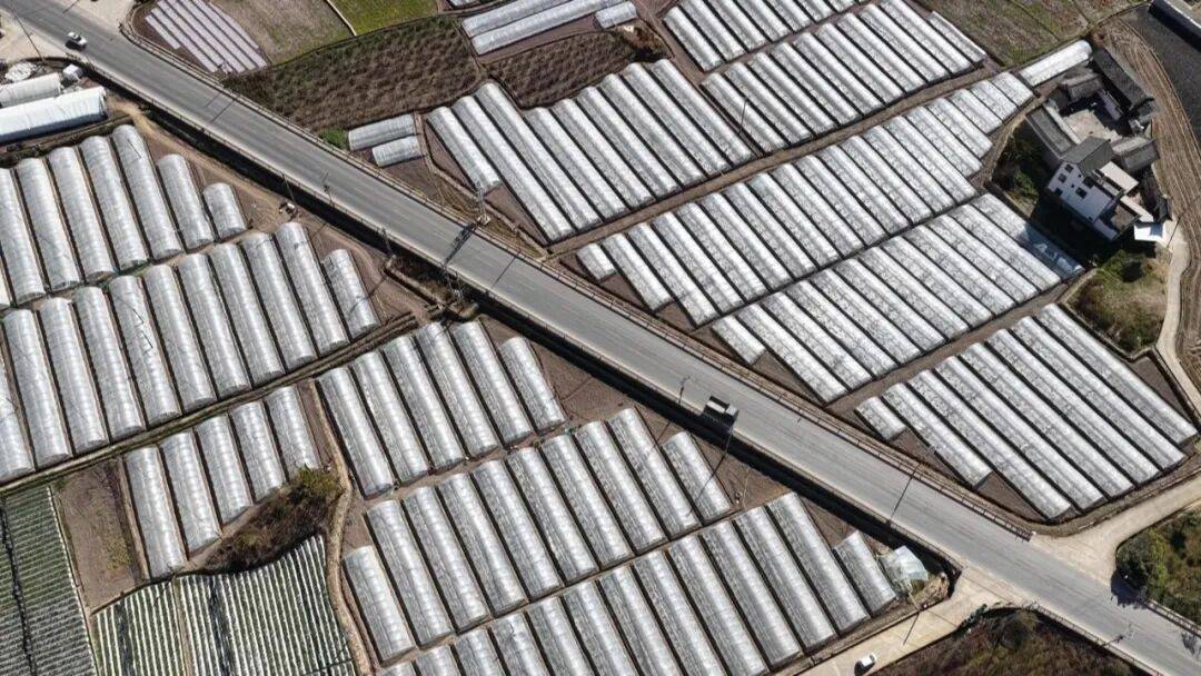 坐等夏天吃瓜！