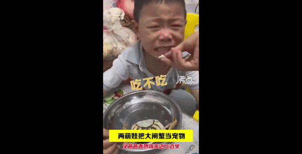 恭喜，这顶流网红终于塌房了